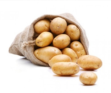FRUCHTVERSAND24® BIO Kartoffeln, Sorte: Linda (Speisekartoffeln), Inhalt: 12,5kg, sehr gelbfleischig, lagerfähige Premiumqualität direkt vom Erzeuger - 1