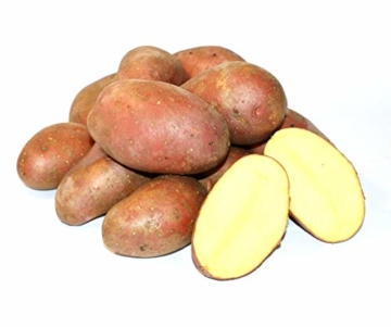 Kartoffel Laura halbmehlig vorw. festkochend (halbmehlig) rote Kartoffeln 1-25 Kg geeignet für Salz-, Pell-, Back- Folien- und Gratin-Kartoffel, optimal für selbstgemachte Pommes (25) - 2