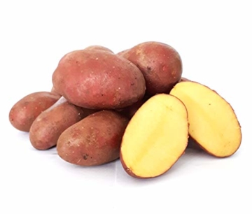 Kartoffel Laura halbmehlig vorw. festkochend (halbmehlig) rote Kartoffeln 1-25 Kg geeignet für Salz-, Pell-, Back- Folien- und Gratin-Kartoffel, optimal für selbstgemachte Pommes (25) - 3